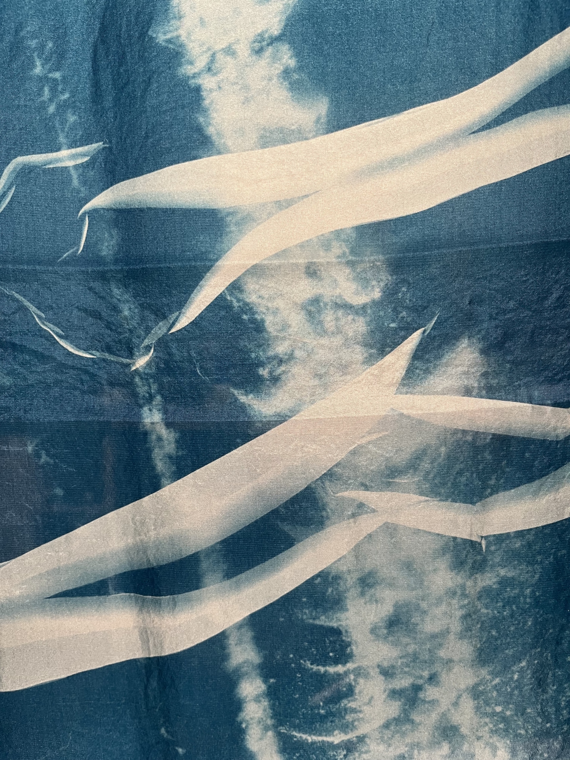 Anne Haaning: Tracer Object