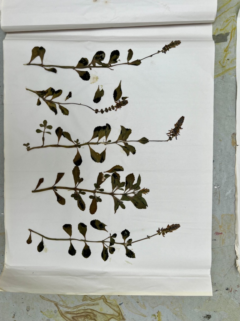 Gallery item